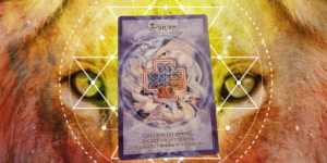 The POWER Card for this week's energy update Oracle reading through the Lion's Gate Portal